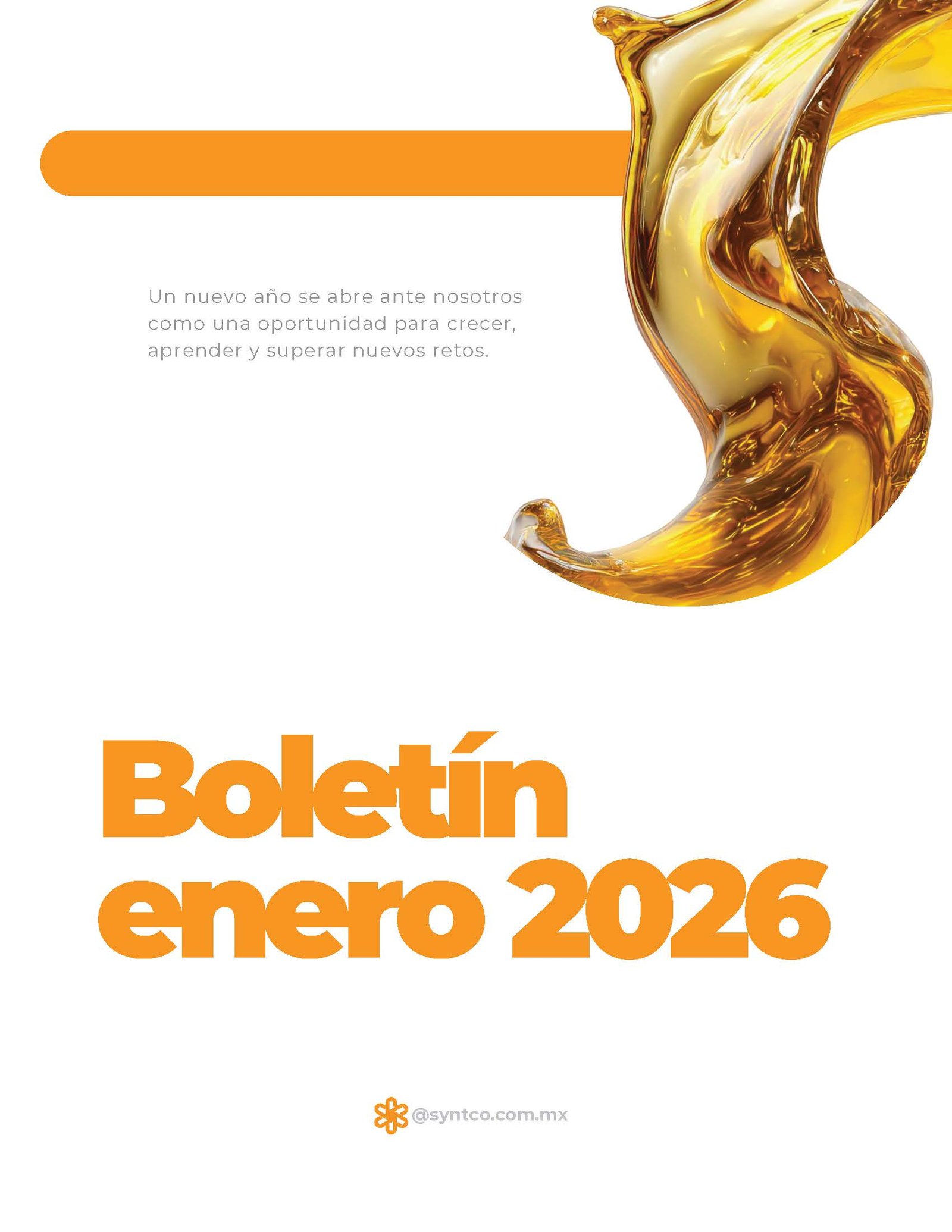 Boletín Syntco Enero 2026